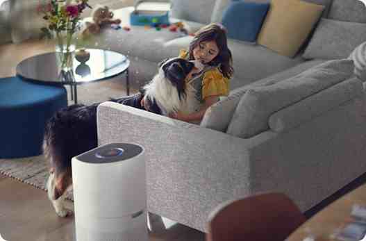 To idealne urządzenie do domów i mieszkań, w których żyją alergicy.